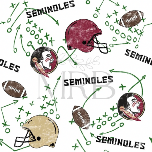 Florida Seminoles General (ON HAND)
