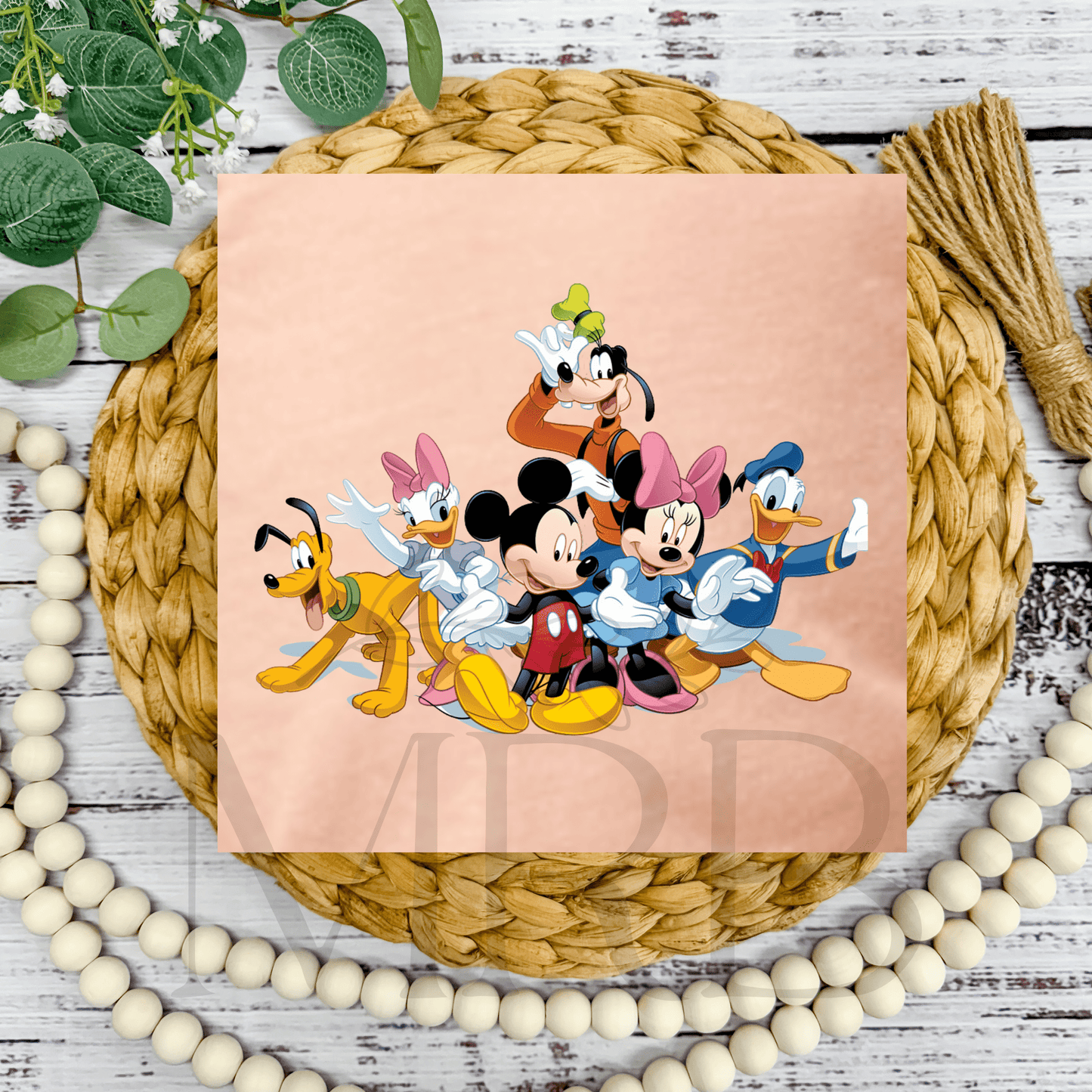 Mickey + Friends Tees