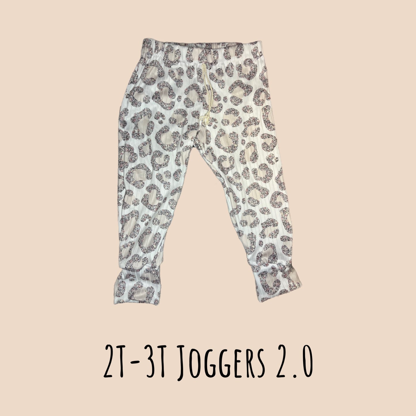2T Joggers 2.0
